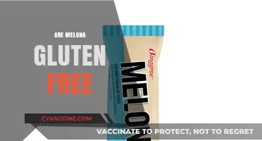 Are Melona Ice Cream Bars Gluten-Free? A Complete Guide