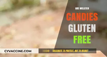 Are Melster Candies Gluten-Free? A Sweet and Safe Snack Guide