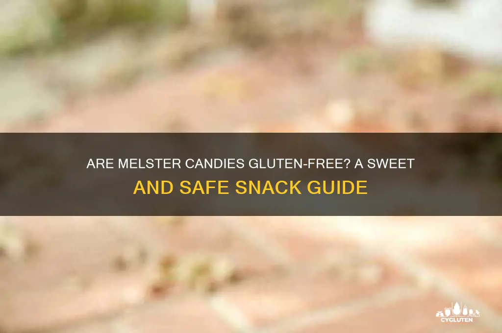 are melster candies gluten free