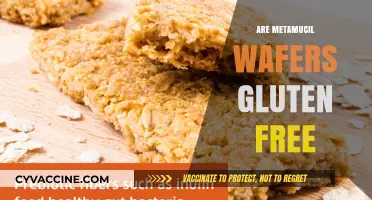 Are Metamucil Wafers Gluten-Free? A Comprehensive Guide for Dietary Needs