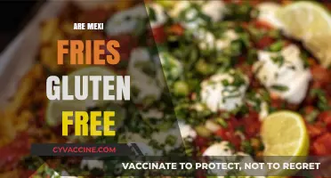 Are Mexi Fries Gluten-Free? A Complete Guide for Celiac Diners