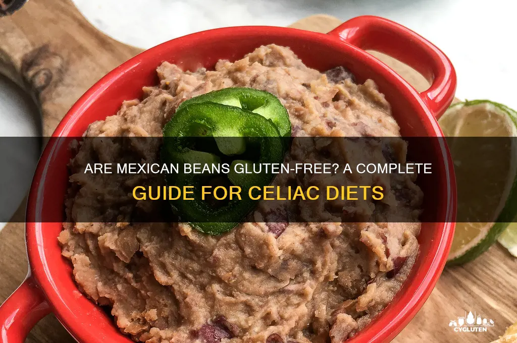 are mexican beans gluten free
