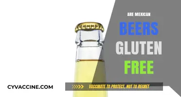 Are Mexican Beers Gluten-Free? Exploring Popular Brands and Options