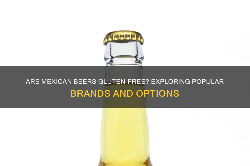 are mexican beers gluten free