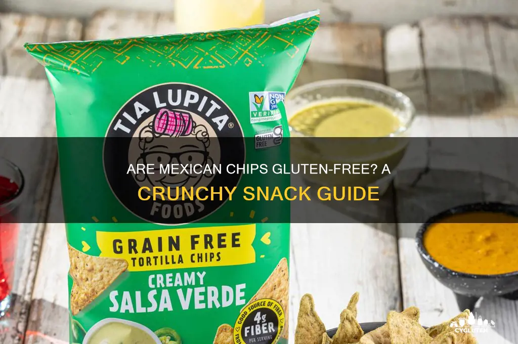 are mexican chips gluten free