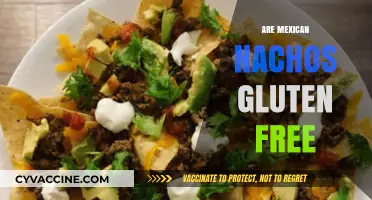Are Mexican Nachos Gluten-Free? A Crunchy Snack Guide