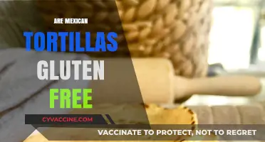 Are Mexican Tortillas Gluten-Free? A Complete Guide to Ingredients