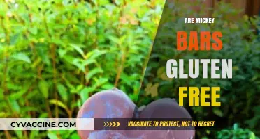 Are Mickey Bars Gluten-Free? A Sweet Treat Analysis