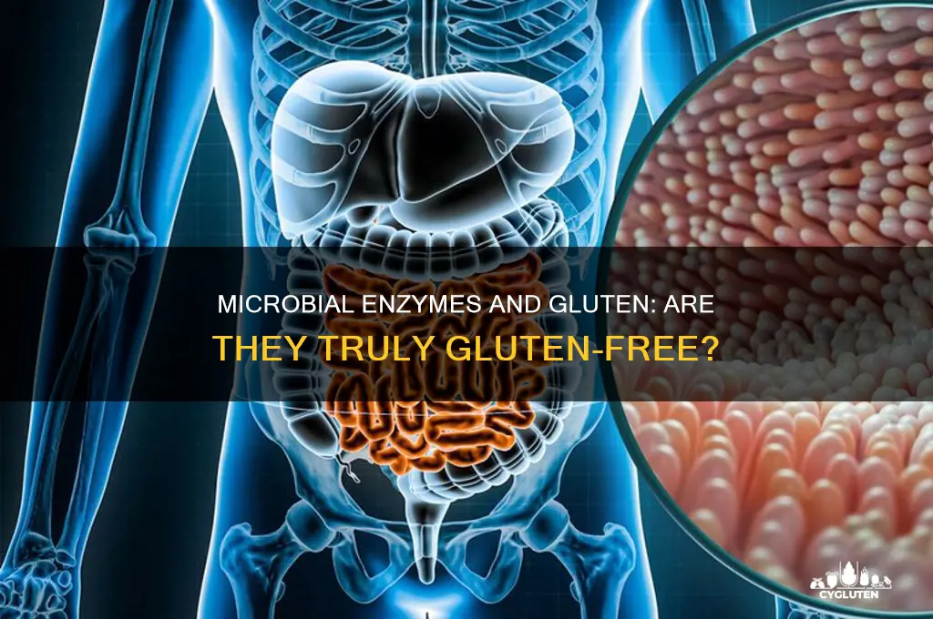 are microbial enzymes gluten free