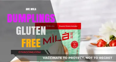 Are Mila Dumplings Gluten-Free? A Complete Guide for Dumpling Lovers