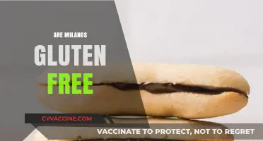 Are Milano Cookies Gluten-Free? A Complete Guide for Cookie Lovers