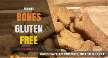 Are Milk Bones Gluten-Free? A Comprehensive Guide for Dog Owners