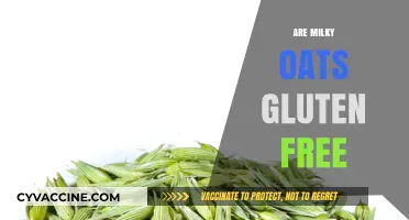 Are Milky Oats Gluten-Free? Unraveling the Truth for Celiacs
