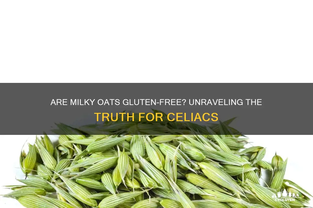 are milky oats gluten free