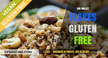 Millet Flakes: A Naturally Gluten-Free Breakfast Option Explained