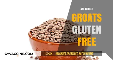 Millet Groats: A Naturally Gluten-Free Superfood for Healthy Eating