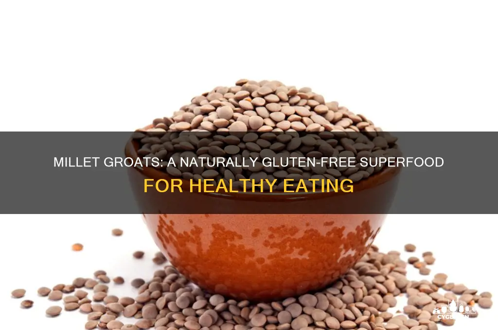 are millet groats gluten free