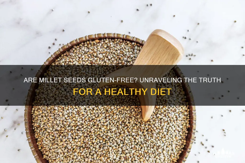 are millet seeds gluten free