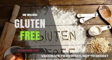 Exploring Gluten-Free Options: Are Millions of Products Truly Safe?