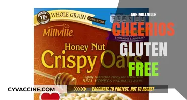Are Millville Cheerios Gluten-Free? A Comprehensive Guide for Shoppers