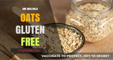 Are Millville Oats Gluten-Free? A Comprehensive Guide for Celiacs