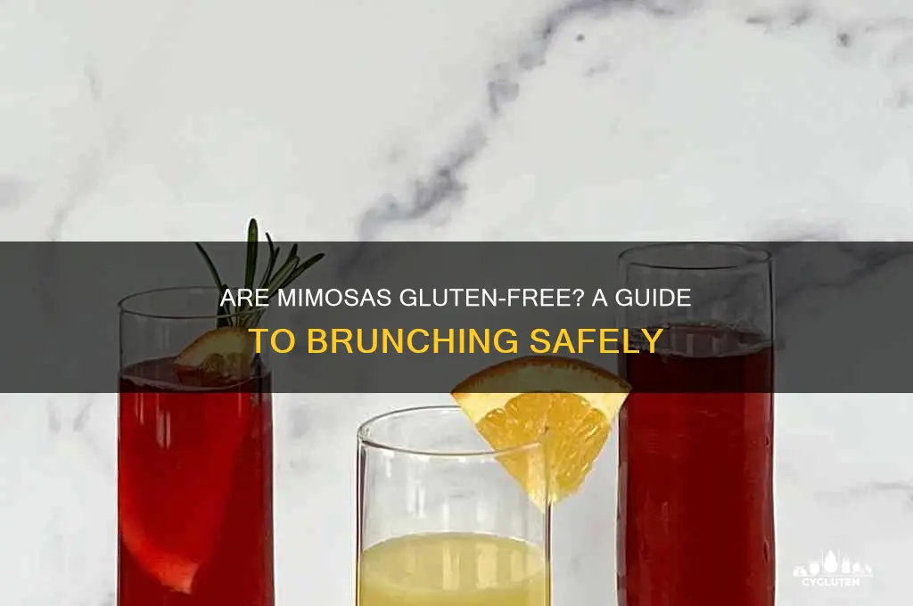 are mimosas gluten free