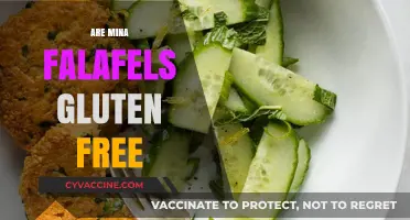 Are Mina Falafels Gluten-Free? A Complete Guide to Ingredients