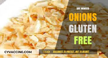 Are Minced Onions Gluten-Free? A Clear and Simple Answer