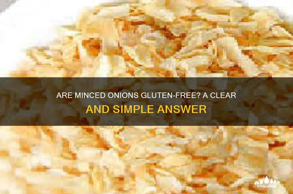 are minced onions gluten free