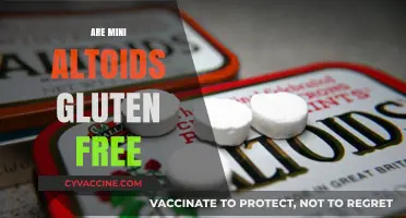 Are Mini Altoids Gluten-Free? A Comprehensive Guide to Ingredients