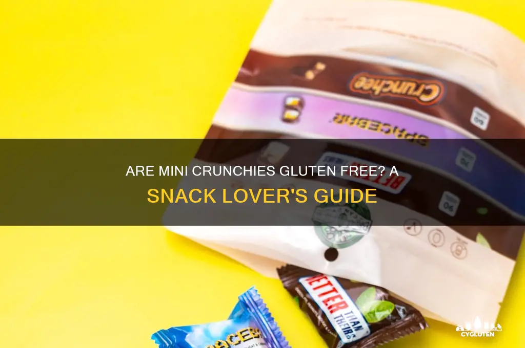 are mini crunchies gluten free