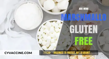 Are Mini Marshmallows Gluten Free? A Sweet Fact Check