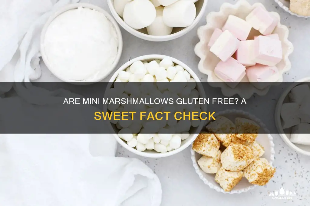 are mini marshmallows gluten free