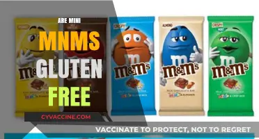 Are Mini M&Ms Gluten-Free? A Sweet Snack Fact Check