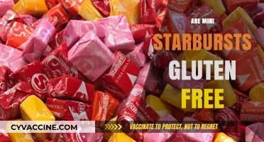 Are Mini Starbursts Gluten-Free? A Sweet Snack Fact Check