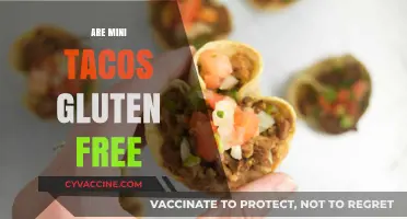 Are Mini Tacos Gluten-Free? A Complete Guide to Safe Snacking