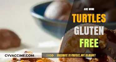 Are Mini Turtles Gluten Free? A Sweet Treat Analysis