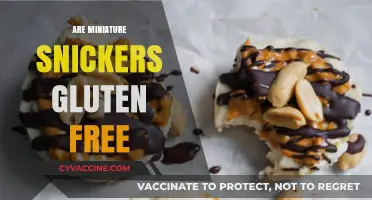 Are Miniature Snickers Gluten-Free? A Sweet Snack Fact Check