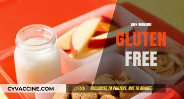 Are MiniGo Snacks Gluten-Free? A Comprehensive Guide for Dieters