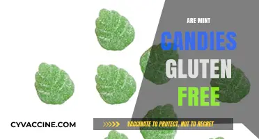Are Mint Candies Gluten-Free? A Comprehensive Guide for Celiac Sufferers