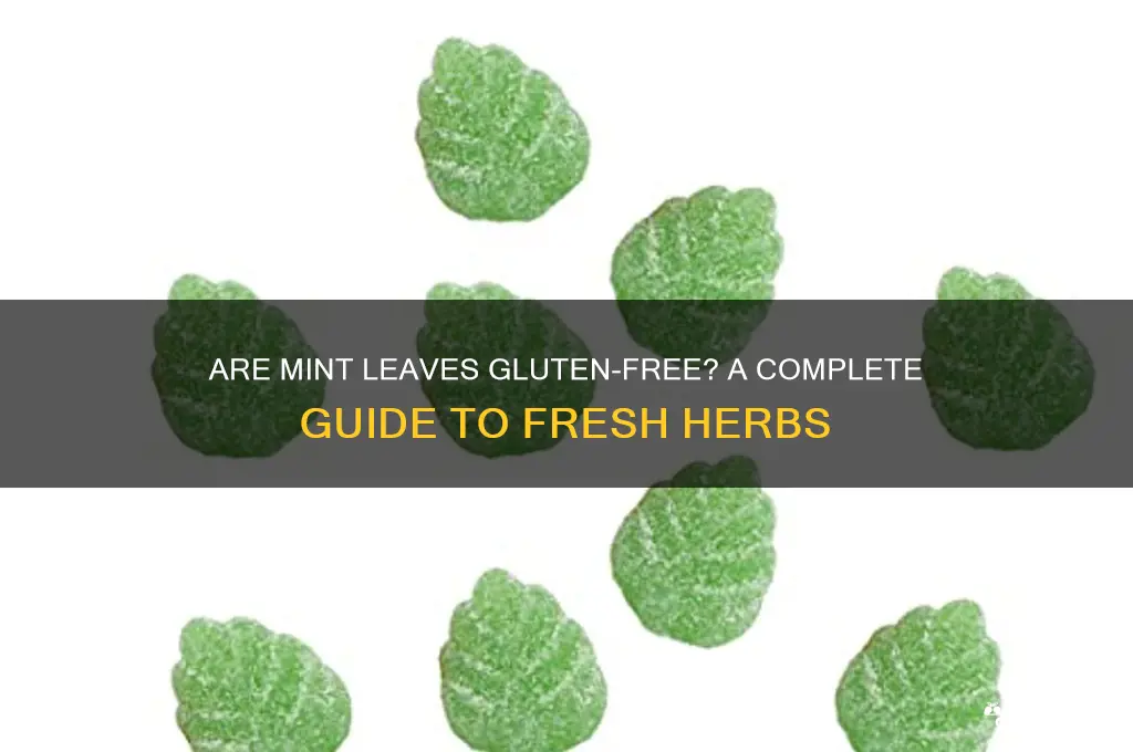 are mint leaves gluten free