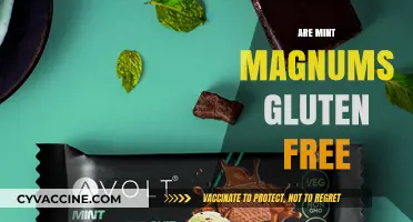 Are Mint Magnums Gluten Free? A Comprehensive Guide for Ice Cream Lovers