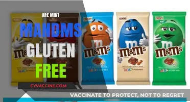 Are Mint M&Ms Gluten-Free? A Complete Guide for Snackers
