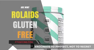 Are Mint Rolaids Gluten-Free? A Complete Guide for Celiacs
