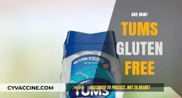Are Mint Tums Gluten-Free? A Complete Guide for Celiac Sufferers
