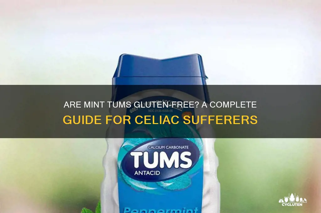 are mint tums gluten free