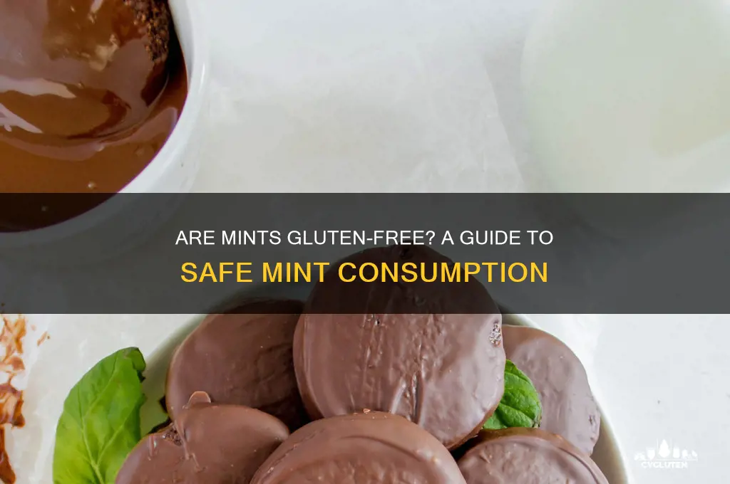 are mints gluten free