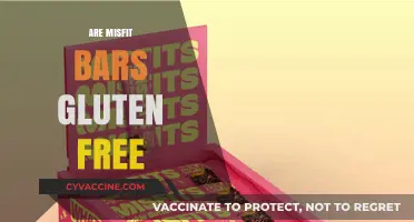 Are Misfit Bars Gluten-Free? A Complete Guide for Dietary Needs