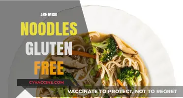 Are Miso Noodles Gluten-Free? A Complete Guide for Celiacs