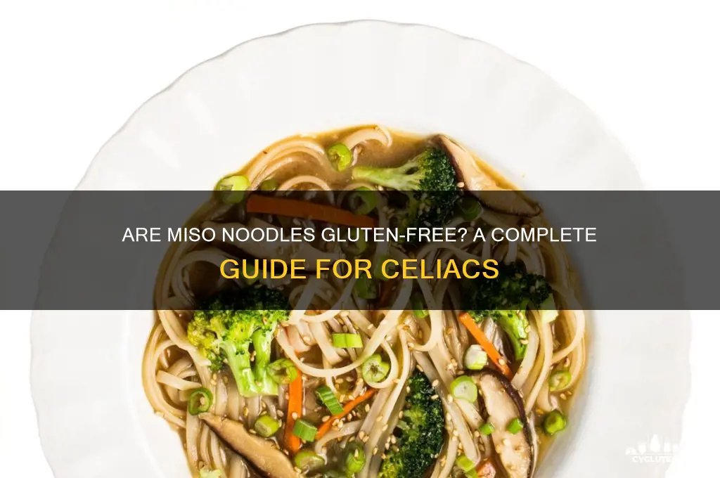 are miso noodles gluten free